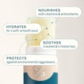 Cliganic Organic Lip Balm Set (6 Flavors) - 100% Natural Hydrating, Moisturizing for Dry Cracked Lips, for Men & Women