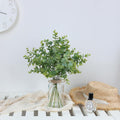 Zheart Fake Eucalyptus Stems in Glass Vase with Faux Water,14" Artificial Plants Eucalyptus Leaves for Shelf Desk Bathroom Farmhouse Room Coffee