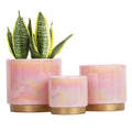 Gepege Pink Indoor Plant Pots for Plants, Ceramic Planter with Drainage Hole, 6.0 Inch+5.0 Inch+4.0 Inch. Succulent Orchid Flower Pot - Rainbow