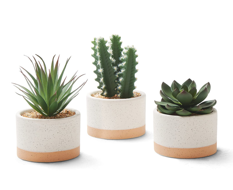 Artificial Succulent Plants in Ceramic Pots, Faux Assorted Succulents Fake Cactus Plants for Home Decor, Bedroom, Office, Desk, Living Room, Set