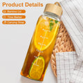 Glass Bottles with Lids and Time Marker, Glass Water Bottles with Carrying Strap, 17Oz Glass Bottles for Juicing for Office, Gym