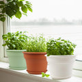 8 Inch Plastic-Flower Pot-For-Indoor Plants, 4 Pack Large Outdoor Planter Pot with Drainage Holes & Saucers, Resin Decorative Garden Pots Planters