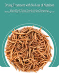 Reptile Food Dried Mealworms Pet Worms Food for Bearded Dragon, Lizard, Turtles, Chameleon, Monitor, Frog, Sugar Glider, Chickens, Birds, Hamsters