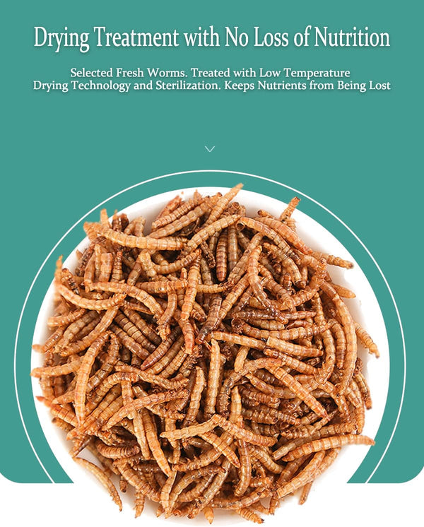 Reptile Food Dried Mealworms Pet Worms Food for Bearded Dragon, Lizard, Turtles, Chameleon, Monitor, Frog, Sugar Glider, Chickens, Birds, Hamsters