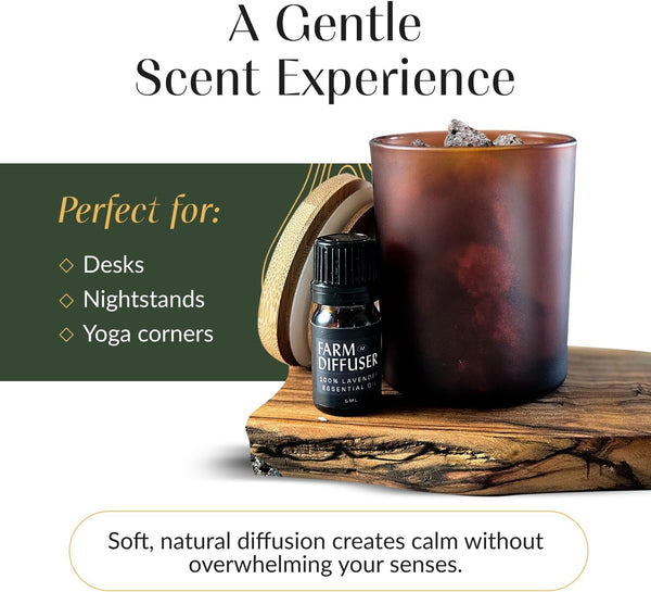 Volcanic Stone Diffuser with Lavender Essential Oil â Lava Rock Diffuser for Essential Oils | Cordless Passive Diffuser for Desk, Bedroom, or