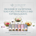 Teabloom Lemon Mint Chamomile Pyramid Tea Presentation Box, 12 Herbal Tea Blends, Whole-Leaf Pyramid Tea Sachets