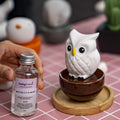 Blinky Owl, Non-Electric Ceramic Diffusers for Essential Oils and Aromatherapy Fragrance, White Ceramic Diffusers in Car or Desk Office Decor and