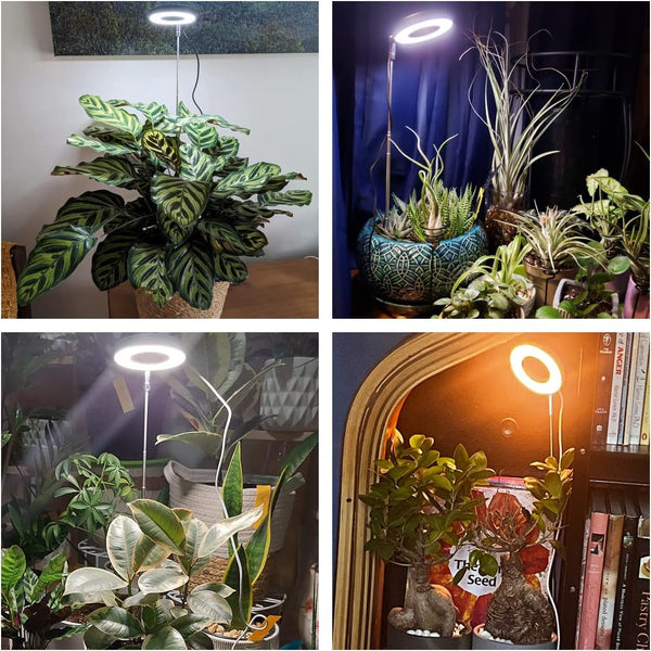 Grow Lights for Indoor Plants, 48 Leds Full Spectrum Plant Light for Indoor Plants, Height Adjustable Growing Lamp with Base, 3 Optional