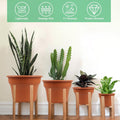 8 Inch Plastic-Flower Pot-For-Indoor Plants, 4 Pack Large Outdoor Planter Pot with Drainage Holes & Saucers, Resin Decorative Garden Pots Planters
