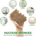 Natural Kitchen Sponges Pack of 6 - Cellulose and Coconut Husk Dishwashing Sponges - Odor Free Non Scratch Walnut Scrubber Sponges - Eco Friendly