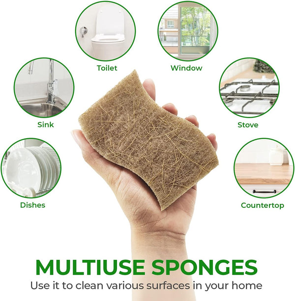 Natural Kitchen Sponges Pack of 6 - Cellulose and Coconut Husk Dishwashing Sponges - Odor Free Non Scratch Walnut Scrubber Sponges - Eco Friendly