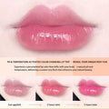 6 Pcs/Set Peach Aloe Vera Strawberry Blueberry Avocado Grape Jelly Lipstick Set Temperature Change Moisturizer Flower Lip Stick Long Lasting