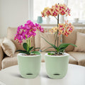 QCQHDU 2 Pack Orchid Pots with Holes for Repotting, Self Watering and Double-Layer Orchid Pot with Good Air Circulation