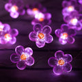 Flower String Lights?Fairy Pink Cherry Blossom String Lights 21Ft 40 Leds Waterproof USB Plug in Fun Room Lights for Spring, Nursery, Wedding,