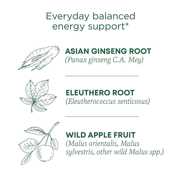 Traditional Medicinals Tea, Organic Stress Ease Focus, with Adaptogens, Everyday Balanced Energy, Ginseng Wild Apple Mint, 16 Tea Bags