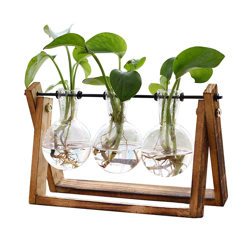 XXXFLOWER Plant Terrarium with Wooden Stand, Air Planter Bulb Glass Vase Metal Swivel Holder Retro Tabletop for Hydroponics Home Garden Office