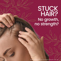 Tio Nacho Shampoo with Ginseng, Royal Jelly, Aloe Vera & Jojoba, Strengthening Hair Care to Reduce Loss & Breakage, Revitalizing, Nourishing