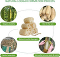 Natural Loofah Sponge Shower Organic Luffa Bath Loofa Exfoliating Body Scrubber Loofah for Men Women Adults Back Face Body Skin SPA Care - 6 Pieces