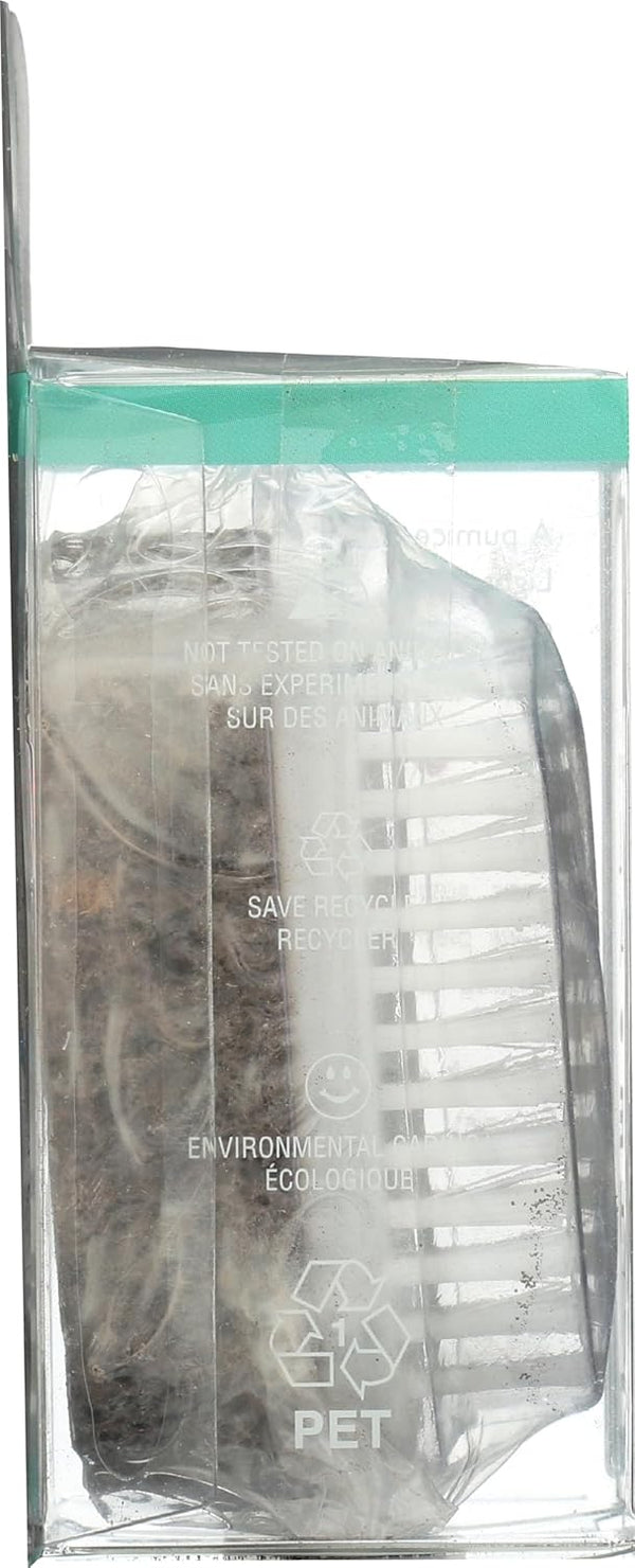 Earth Therapeutics Pumice Stone with Brush, 1 EA