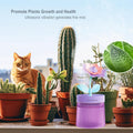 Desk Mini Humidifier,Personal Small Humidifier Diffuser 260Ml Portable,Cute,Flower,Quiet,Cool Mist, Auto Off,Colorful Light,Top Fill Air