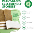 Natural Kitchen Sponges Pack of 6 - Cellulose and Coconut Husk Dishwashing Sponges - Odor Free Non Scratch Walnut Scrubber Sponges - Eco Friendly