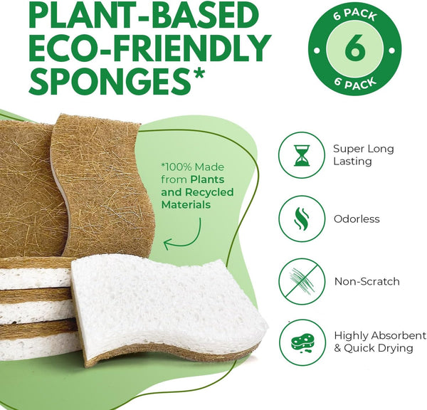 Natural Kitchen Sponges Pack of 6 - Cellulose and Coconut Husk Dishwashing Sponges - Odor Free Non Scratch Walnut Scrubber Sponges - Eco Friendly