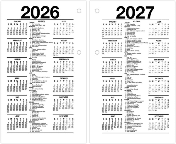 AT-A-GLANCE 2025 Desk Calendar Refill, Daily, 3-1/2" X 6", Standard, Loose-Leaf (E7175025)