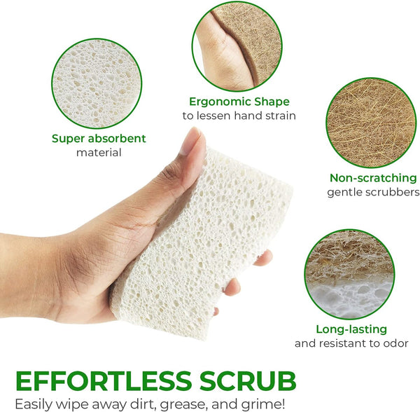 Natural Kitchen Sponges Pack of 6 - Cellulose and Coconut Husk Dishwashing Sponges - Odor Free Non Scratch Walnut Scrubber Sponges - Eco Friendly