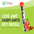 Live Ant Farm Ants (1 Tube of Ants) plus Ant Book- Bundle