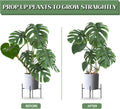 Joyhalo 12 Pack Plant Support Stakes, 16 Inch Plant Stakes for Outdoor Plants, Peony Cages and Supports, Peony Cage with 15 Pcs Twist Ties, Flower