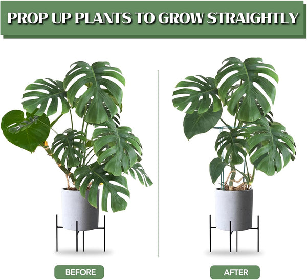 Joyhalo 12 Pack Plant Support Stakes, 16 Inch Plant Stakes for Outdoor Plants, Peony Cages and Supports, Peony Cage with 15 Pcs Twist Ties, Flower