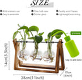 XXXFLOWER Plant Terrarium with Wooden Stand, Air Planter Bulb Glass Vase Metal Swivel Holder Retro Tabletop for Hydroponics Home Garden Office