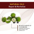 Okay MEN Castor Oil Beard & Hair Growth Oil - Beard Growth Oil Treatment for Men, Moisturizer for Soft Hair with Natural Ingredients, Hexane Free