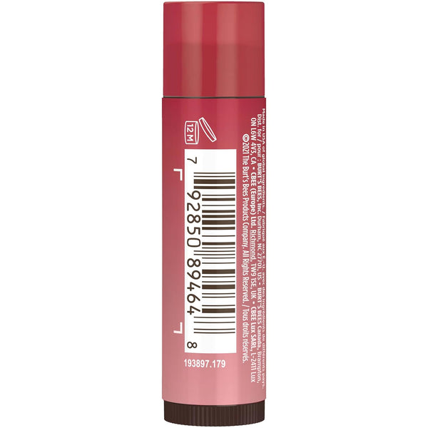 Burt'S Bees Lip Tint Balm Valentines Day Gifts with Long Lasting 2 in 1 Duo Tinted Balm Formula, Color Infused with Hydrating Shea Butter for a