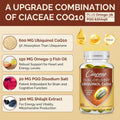 Ubiquinol Coq10 600 MG Softgels with Omega-3 & Shilajit & PQQ, Advanced Dual-Delivery Coenzyme-Q10, Active Coq10 Ubiquinol Supplement for