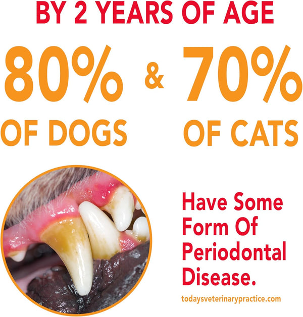 Petrodex Toothpaste for Dogs and Puppies, Cleans Teeth and Fights Bad Breath, Reduces Plaque and Tartar Formation, Enzymatic Toothpaste, Poultry