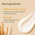 The Face Shop Rice Ceramide Moisturizing Cream - Rice Extract + Rice Bran Oil - Hydrating Targets Dryness, Brightening - Dermatologically Tested -