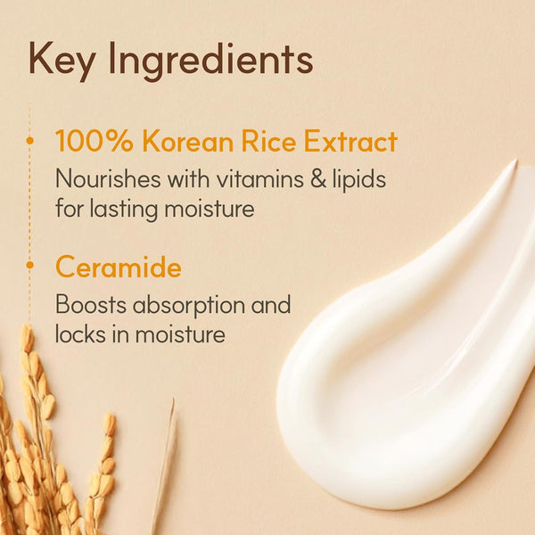 The Face Shop Rice Ceramide Moisturizing Cream - Rice Extract + Rice Bran Oil - Hydrating Targets Dryness, Brightening - Dermatologically Tested -