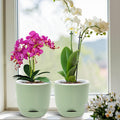 QCQHDU 2 Pack Orchid Pots with Holes for Repotting, Self Watering and Double-Layer Orchid Pot with Good Air Circulation