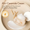 The Face Shop Rice Ceramide Moisturizing Cream - Rice Extract + Rice Bran Oil - Hydrating Targets Dryness, Brightening - Dermatologically Tested -