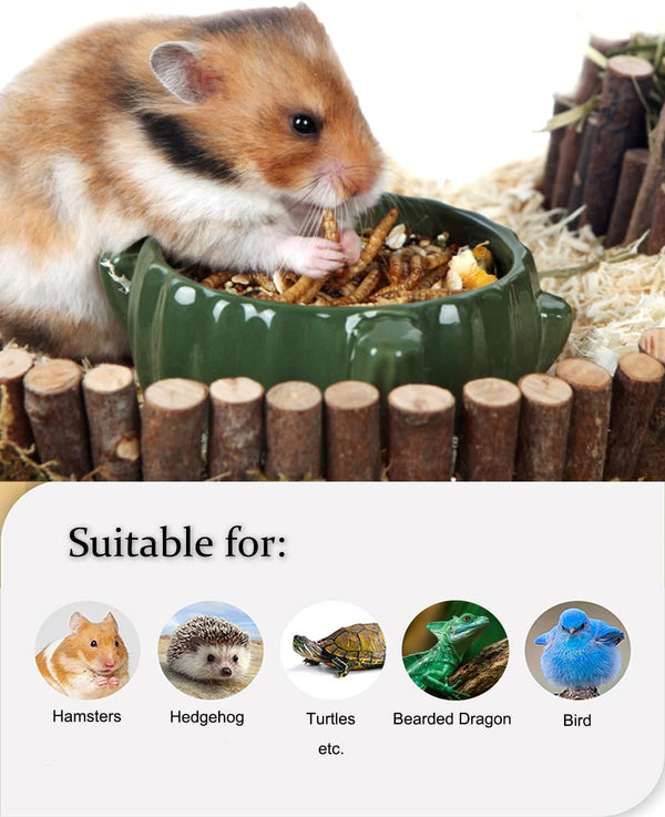 Reptile Food Dried Mealworms Pet Worms Food for Bearded Dragon, Lizard, Turtles, Chameleon, Monitor, Frog, Sugar Glider, Chickens, Birds, Hamsters