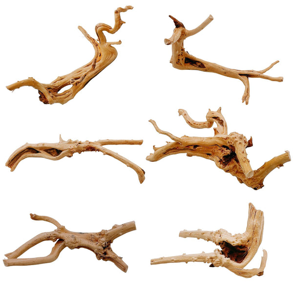 Hamiledyi 6PCS Aquarium Driftwood 6-8In Natural Spider Wood Branches Reptiles Aquarium Fish Tank Decoration Assorted