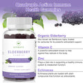AFXMATE Sambucus Elderberry Gummies, Black Elderberry Gummy with Zinc and Vitamin C for Adults, Sugar Free Kids Multivitamin Gummies Immune