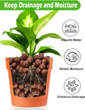 TOYPOPOR Leca Clay Pebbles for Plants, (3 Quarts) Leca Balls, Lightweight Clay Ball, Potting Mix, Grow Media Used for Drainage, Decoration,