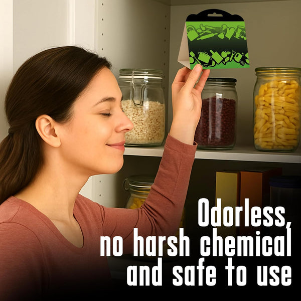 MothMag Pantry Moth Traps with Pheromones – 6 Pack, Non-Toxic Insect Killer for Kitchen, Cupboards, and Food Storage – Indoor Pantry Moth Glue