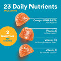 Smartypants Teen Guy Multivitamin Gummies - Improved Formula: Omega 3 (DHA/EPA), Vitamin D3, C, Vitamin B12, B6, A, K & Zinc, Folate, Gluten Free,