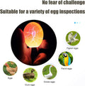 Egg Candler, Egg Incubator Lightã2025 Upgraded Chargerã Egg Candler Candling Checker Light for Chicken Quail Dark Canary Pigeon All Eggs Battery