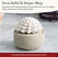 AiromÃ© White Succulent, Porcelain Passive Essential Oil Diffuser (With 15Ml Peppermint Essential Oil) â Non-Electric, Battery-Free, Improves