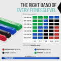 PULLUP & DIP Fitness Bands, Resistance Bands with Bag, Door Anchor (With Sets) and Exercise Guide - Single & in Value Set, Pull-Up Band Fitness