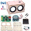 DIY Bluetooth Speaker Box Kit Electronic Sound Amplifier - Build Your Own Portable Wood Case Bluetooth Speaker Sound - Science Experiment and STEM